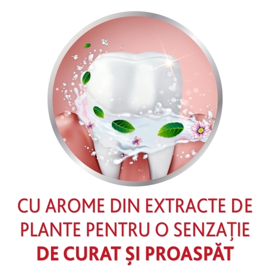 Pastă de dinți Herbal Fresh 75ml