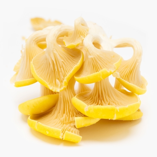 Ciuperci pleurotus galbene 250g