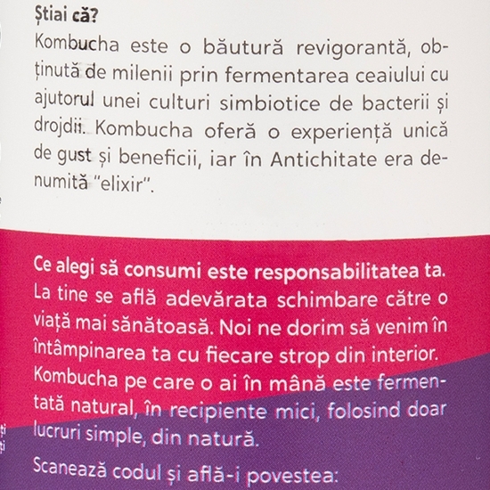 Kombucha eco cu fructe de pădure 0.33l