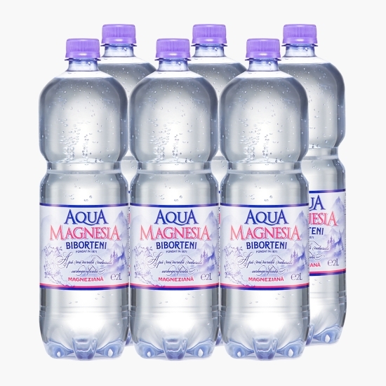 Apă minerală naturală carbogazificată Magnesia 6x2l