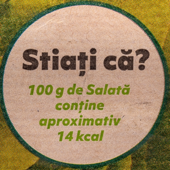 Salată verde cu rădăcină 1 buc