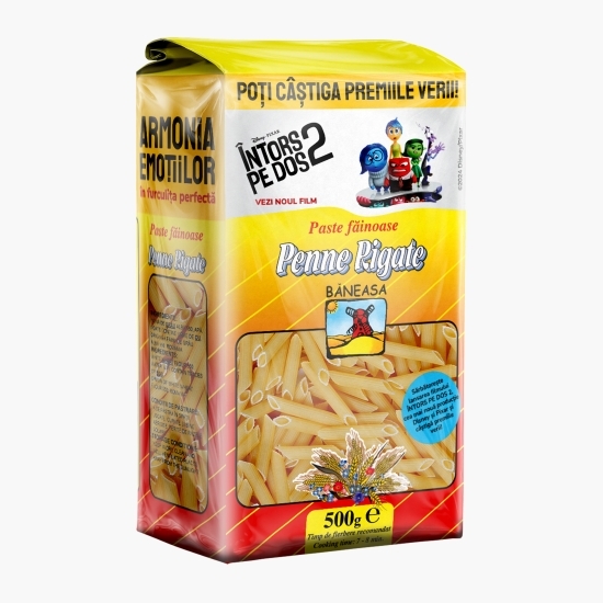 Paste Penne Rigate 500g