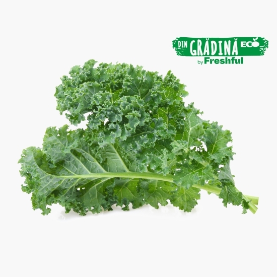 Varză Kale legătură eco 100g