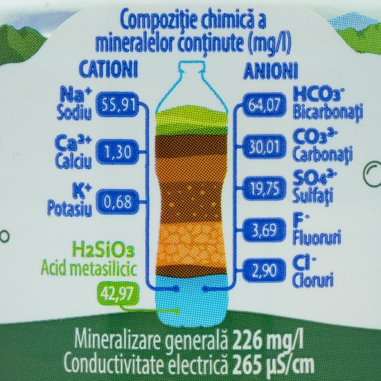 Apă minerală carbogazoasă 0.5l