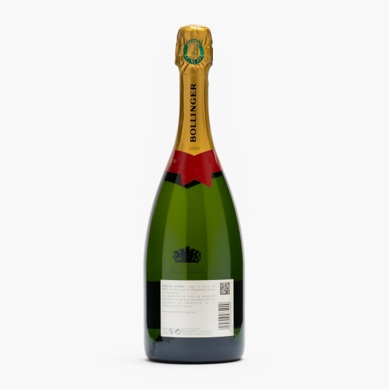 Șampanie brut Special Cuvee, 12%, 0.75l