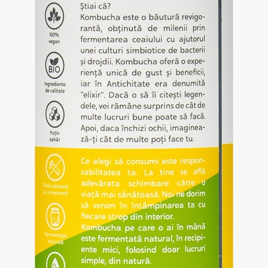 Kombucha eco cu ghimbir și citronela 0.33l