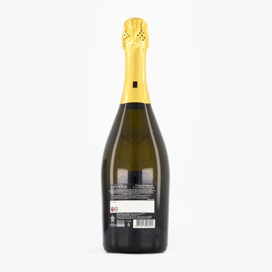 Vin spumant alb demisec, 10%, 0.75l