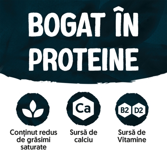 Băutură din soia cu proteină și aromă de vanilie 1l