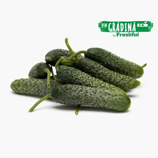 Castraveți cornichon eco România 500g