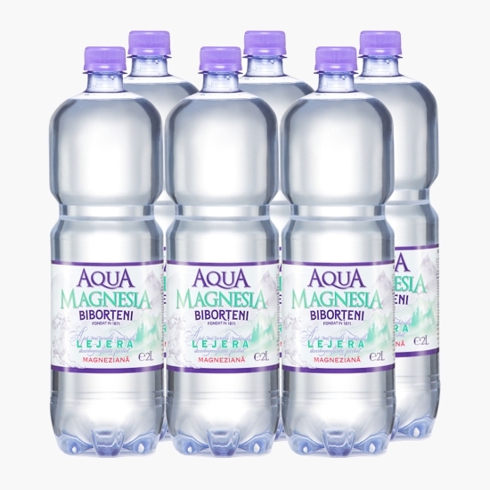 Apă minerală naturală decarbogazificată parțial Magnesia Lejeră 6x2l