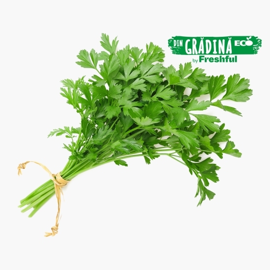 Pătrunjel verde eco, România 30g