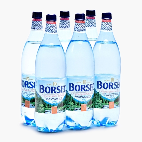 Apă minerală naturală natural carbogazoasă, 6x1.5l