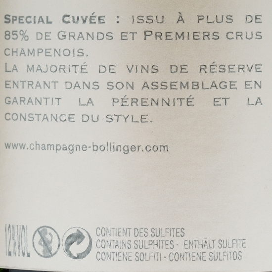 Șampanie brut Special Cuvee, 12%, 0.75l