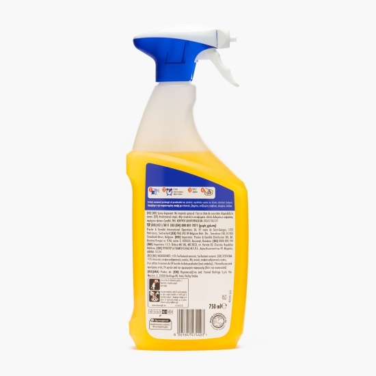 Degresant Ultra Puternic Professional 750ml