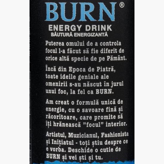 Băutură energizantă cu gust de fructe de pădure, Fruit Punch 0.25l