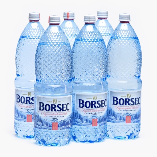 Apă minerală naturală plată 6x2l