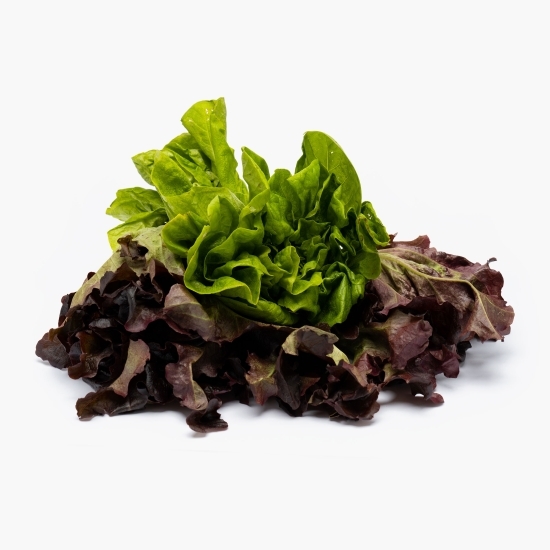 Salată verde "Larissa&Red Oakleaf" eco 175g