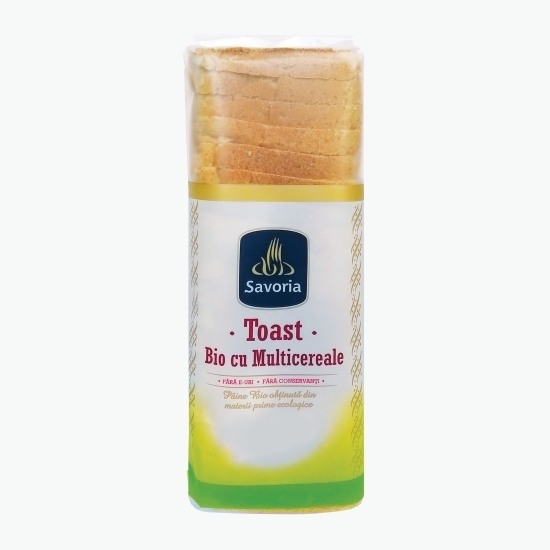 Pâine toast eco multicereale 500g