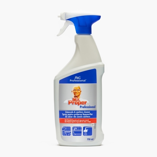 Spray pentru curățarea depunerilor de calcar din zonele sanitare Professional 750ml