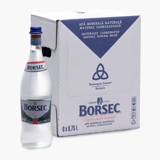 Apă minerală naturală carbogazoasă sticlă 6x0.75l