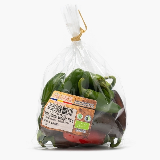 Ardei iute Jalapeno eco, România 100g