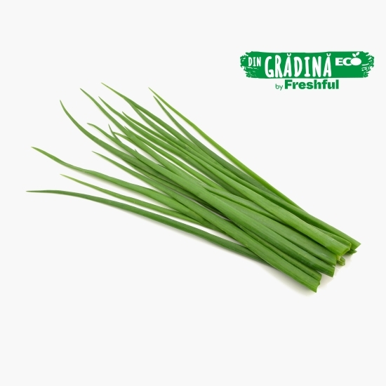 Chives eco 15g