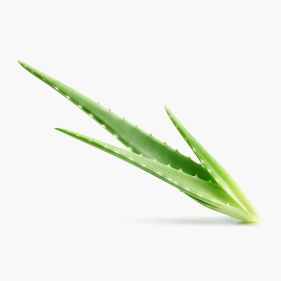 Aloe Vera eco 500g