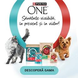 Ofertă specială: Purina