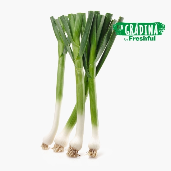 Usturoi verde eco, 4 fire, Bioferma Niculești