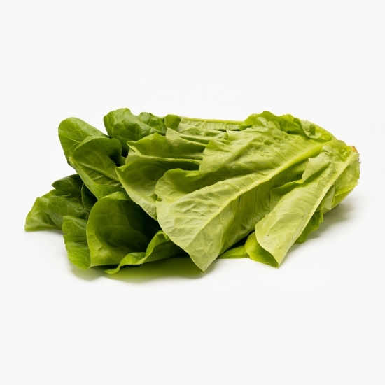 Salată eco Romană, România