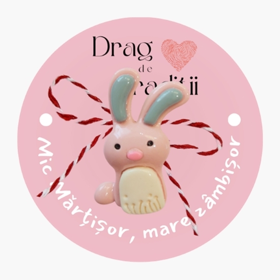 Mărțișor broșă Iepuraș Zburdalnic, din rășină