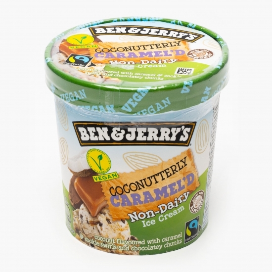 Înghețată fără lactate cu cocos și caramel 416g