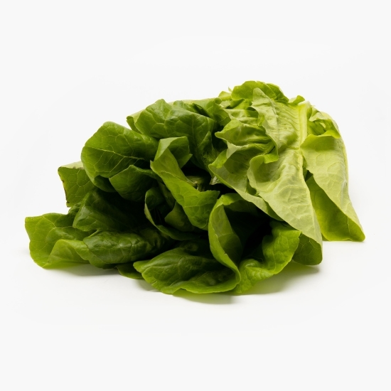 Salată eco Romană, România