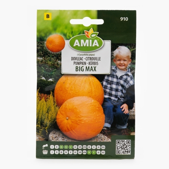 Semințe de dovleac big max 2g