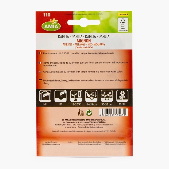 Dalia mignon, amestec culori 0.5g