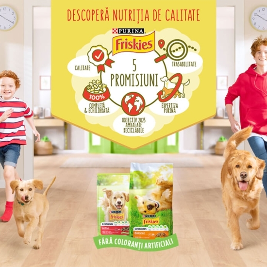 Hrană uscată pentru câini Junior, 2.4kg, cu pui și legume