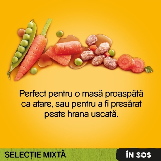 Hrană umedă pentru câini adulți, 40 buc x 100g, pliculețe Vital Protection