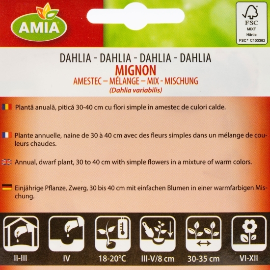 Dalia mignon, amestec culori 0.5g