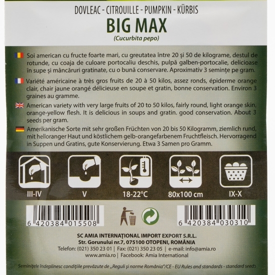 Semințe de dovleac big max 2g